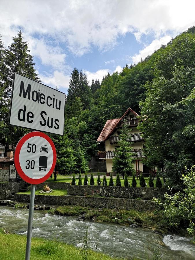 Raza Soarelui Hotel Moeciu De Sus Exterior foto